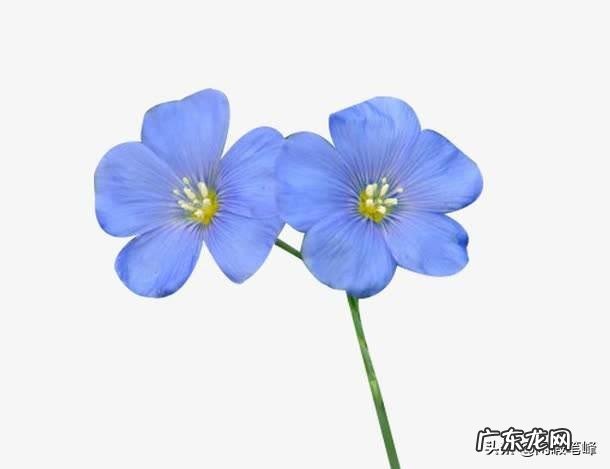 男人和男人之间有真爱吗？