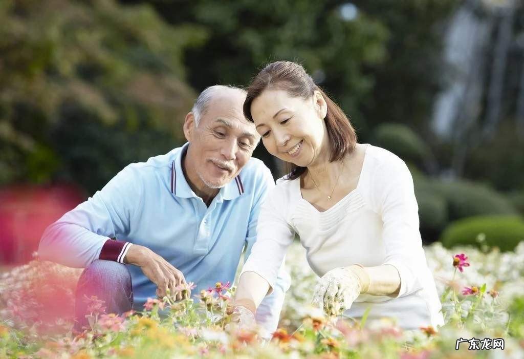 简单幸福的晚年生活是什么样子