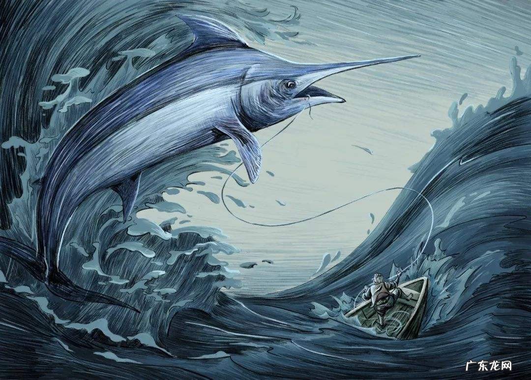 老人与海读后感500字