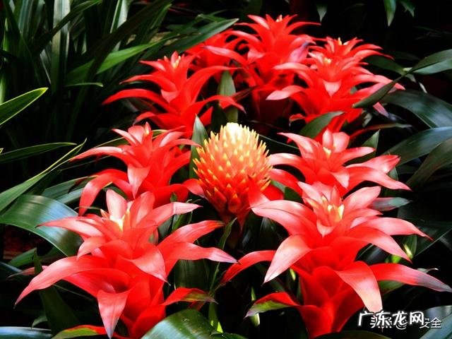 把照片做成视频,哪个软件最好用?