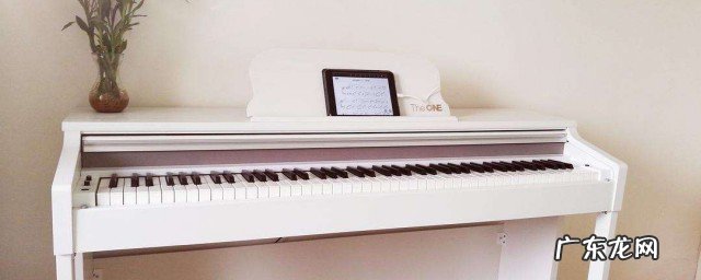 学习钢琴的初步知识