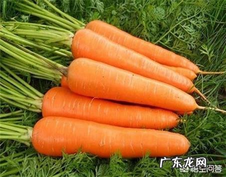 胡萝卜营养价值比白萝卜高吗？