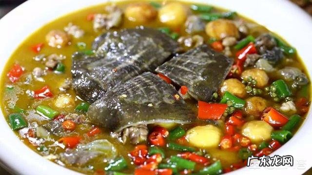 甲鱼对男人的营养价值是多少？