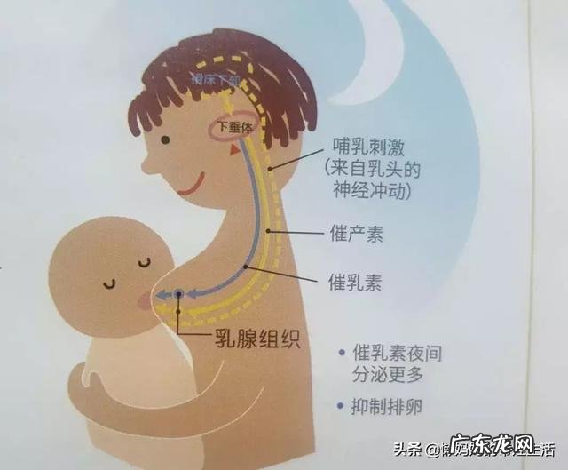 三十多岁妇女经常让婴儿吸会吸出来奶水吗?