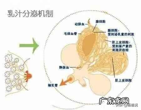 三十多岁妇女经常让婴儿吸会吸出来奶水吗？