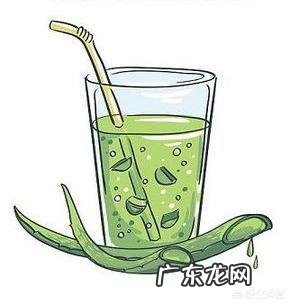 家种芦荟到底有多少用途?