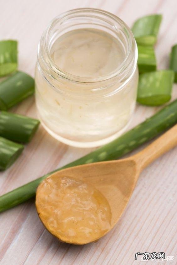 家种芦荟到底有多少用途?