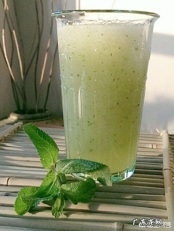 家种芦荟到底有多少用途?