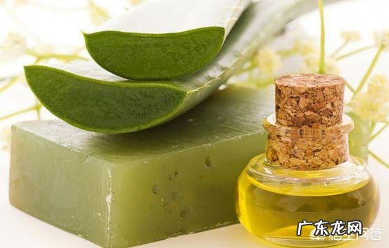 家种芦荟到底有多少用途?