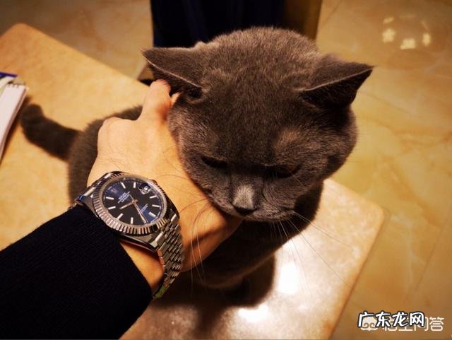 网购很流行,但是网上的官方旗舰店销售的物品真的是正品吗?