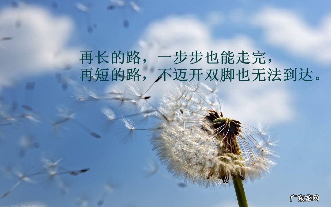 给自己打气的励志话语