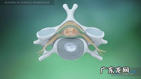 手臂酸疼,胳膊都抬不起来,手臂及肩膀疼得钻心刮骨,是什么原因?