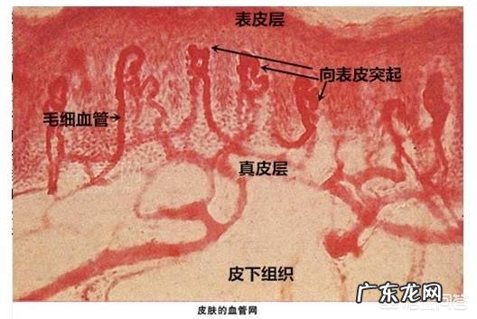 脸上的红血丝可以去掉吗?