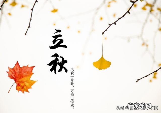 农村俗语:“早立秋,晚立秋,中秋热死牛”具体什么意思?今年什么时候立秋?