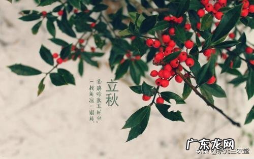 农村俗语:“早立秋,晚立秋,中秋热死牛”具体什么意思?今年什么时候立秋?