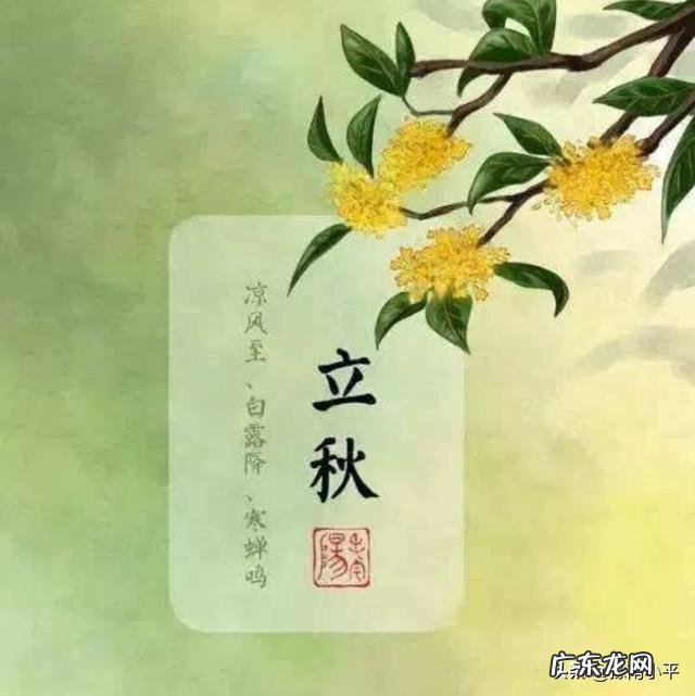 农村俗语:“早立秋,晚立秋,中秋热死牛”具体什么意思?今年什么时候立秋?