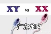 生男宝宝女宝宝取决于男方还是女方?