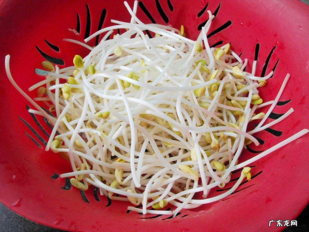 没冰箱豆芽怎么保存