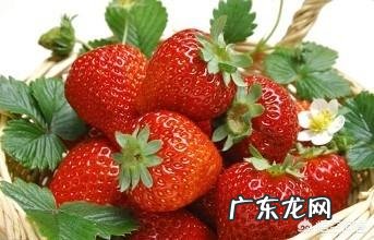 备孕能不能吃草莓？备孕期间不能吃哪些水果？