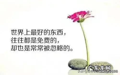 为什么好习惯难养，而坏习惯易养成？