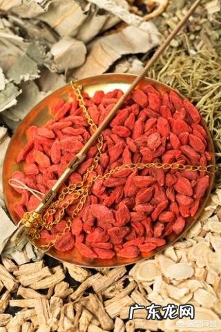 怎么吃枸杞比较好？