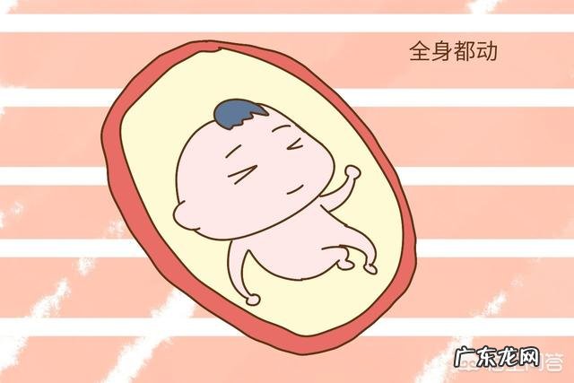怀孕8个月胎动是怎样的?
