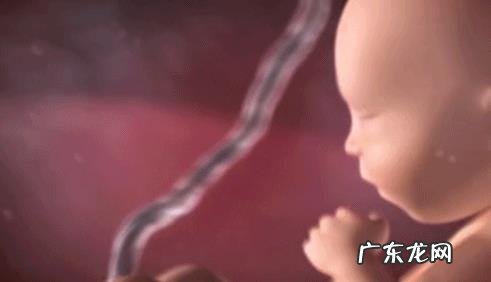 怀孕8个月胎动是怎样的?