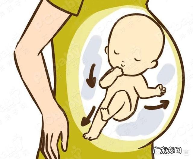 怀孕8个月胎动是怎样的？