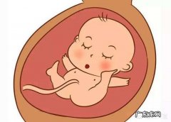 怀孕8个月胎动是怎样的？