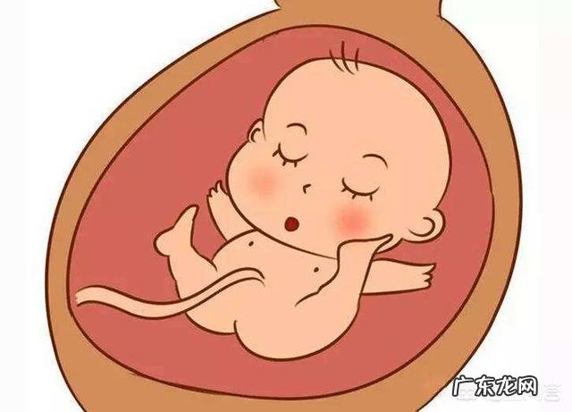 怀孕8个月胎动是怎样的?