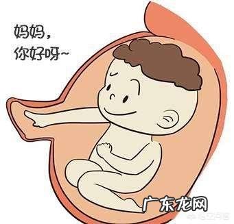 怀孕8个月胎动是怎样的？