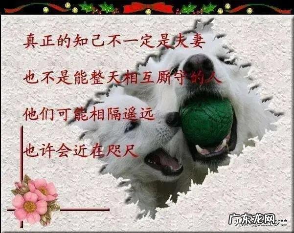 你觉得人一生中,应不应该有个红颜知己?