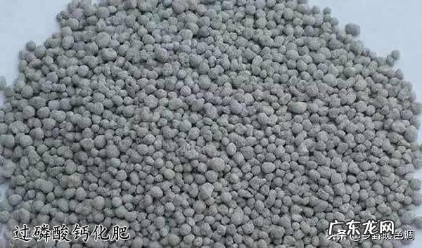 鲜牛奶可以给桃树补钙吗？