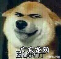 耳软骨隆鼻是永久的吗？会不会吸收后变成原来的样子？定型恢复后还会不会吸收？