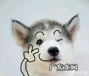 耳软骨隆鼻是永久的吗？会不会吸收后变成原来的样子？定型恢复后还会不会吸收？