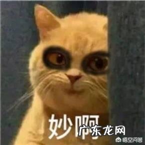 耳软骨隆鼻是永久的吗？会不会吸收后变成原来的样子？定型恢复后还会不会吸收？