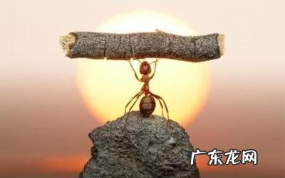 你们觉得广东人怎么样?