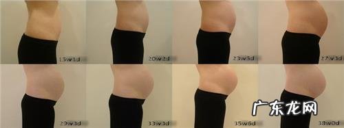 怀孕三个月肚子有多大？