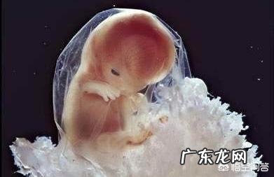 怀孕三个月肚子有多大？