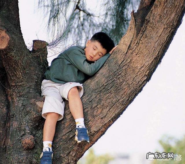 不要为了生儿子而生儿子正确吗?