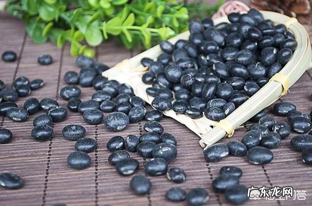 黑豆和黑芸豆的区别有哪些?