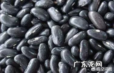 黑豆和黑芸豆的区别有哪些?
