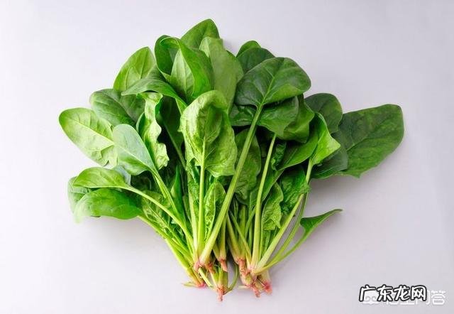 八个半月的宝宝可以吃什么辅食了？