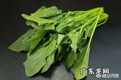 宝宝一岁了,可以吃些什么东西?