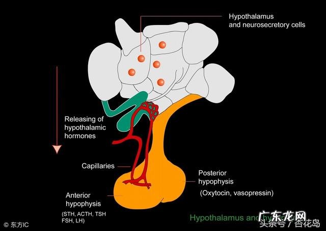 母乳喂养应注意什么问题？