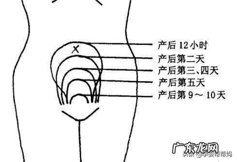 产后有什么感觉才知道子宫恢复好?