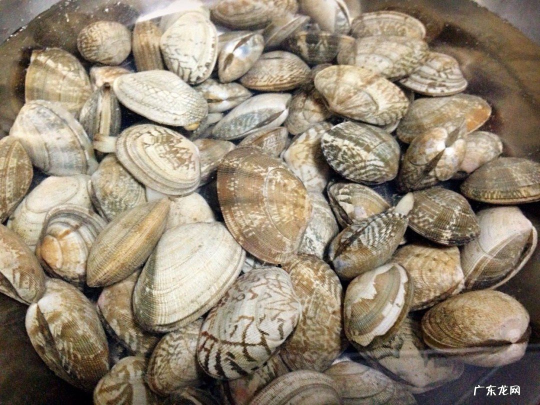 关干日常饮食句子