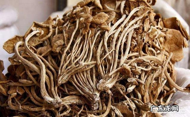 虫草花怎么做汤比较好喝?