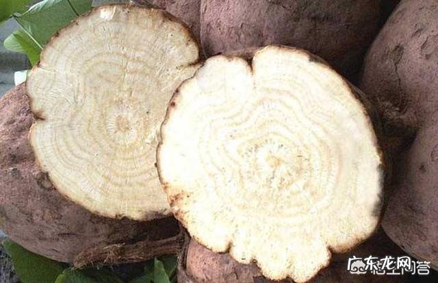 吃什么东西可以丰胸？