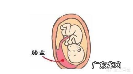 胎盘成熟度多少才是正常的?